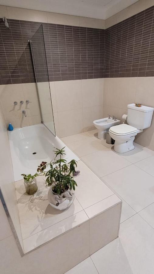 Vivaterra Apartments - San Telmo 布宜诺斯艾利斯 外观 照片